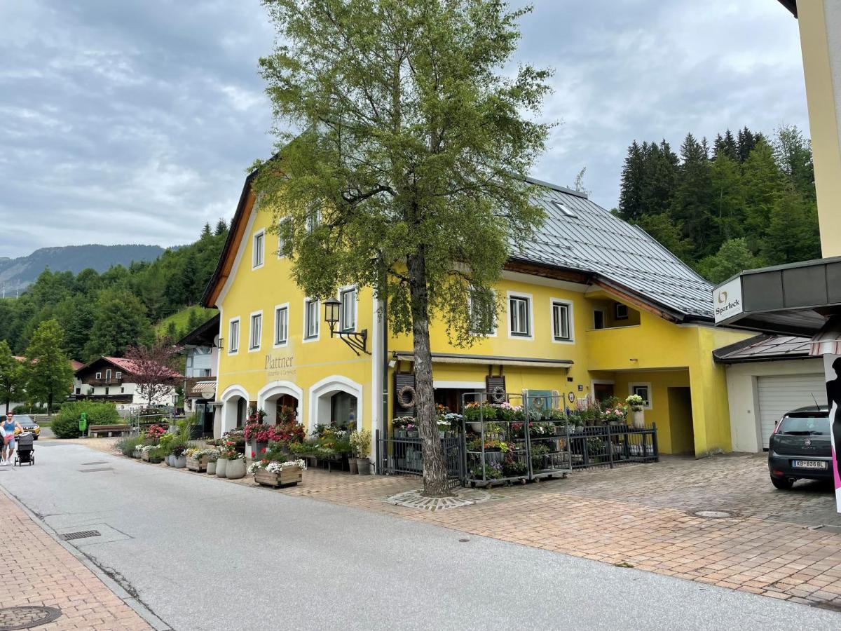 Haus Central Fieberbrunn By Alpine Host Helpers Exteriör bild